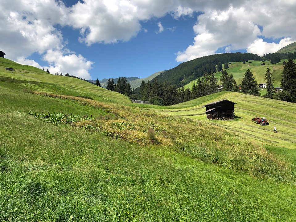 Heuernte auf der Alm im Zillertal
