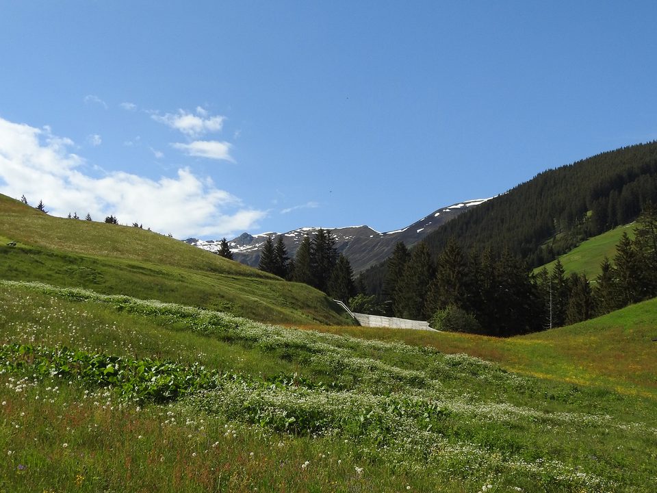 Bergwiese und Wanderweg oberhalb von Vorderlanersbach
